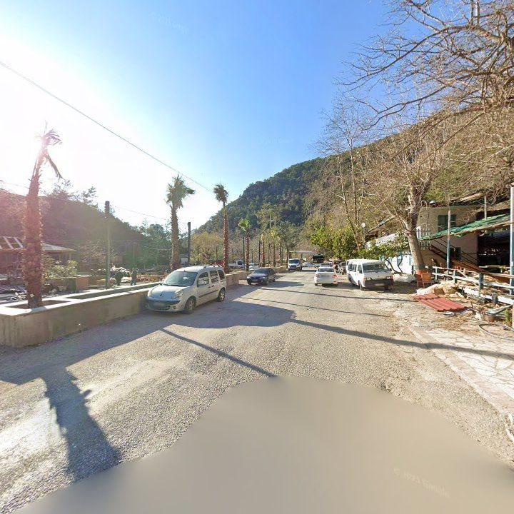 Fotoğraf 11