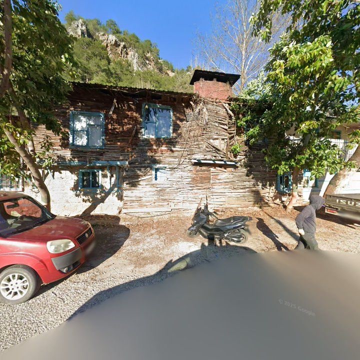 Fotoğraf 8