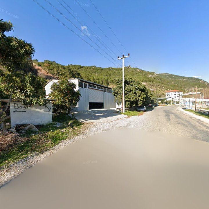Fotoğraf 11