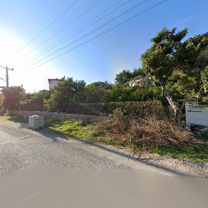 Fotoğraf 10