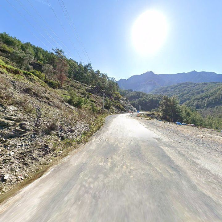Fotoğraf 10