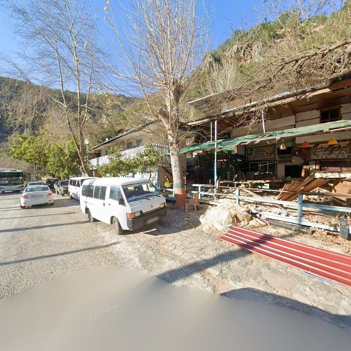 Fotoğraf 11
