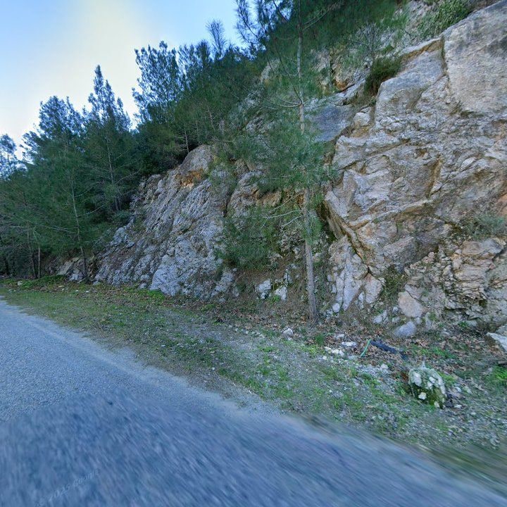 Fotoğraf 12