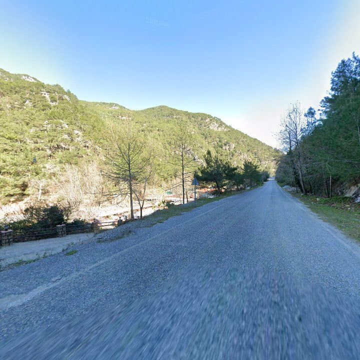 Fotoğraf 11