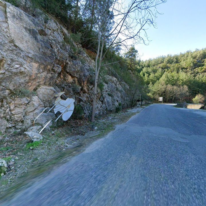 Fotoğraf 13