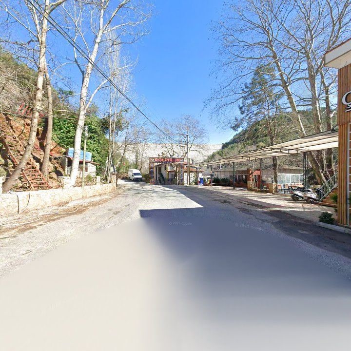 Fotoğraf 12