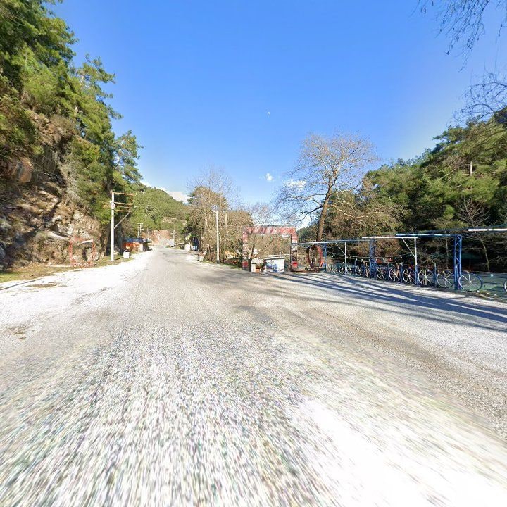 Fotoğraf 11