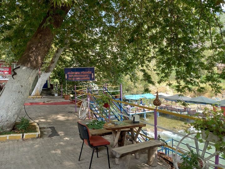 Dimçayı Merkez ALiBABA PIKNIK