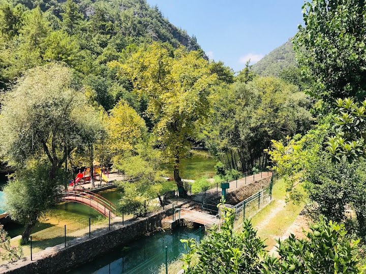 Fotoğraf 7