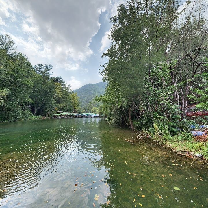 Fotoğraf 13