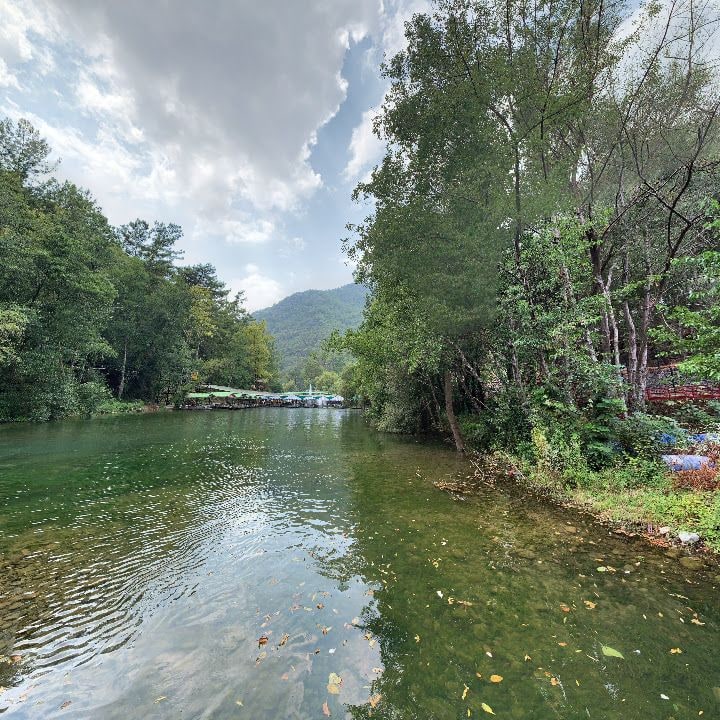 Fotoğraf 12