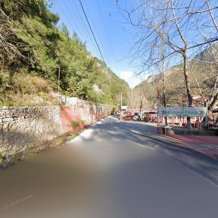 Fotoğraf 11