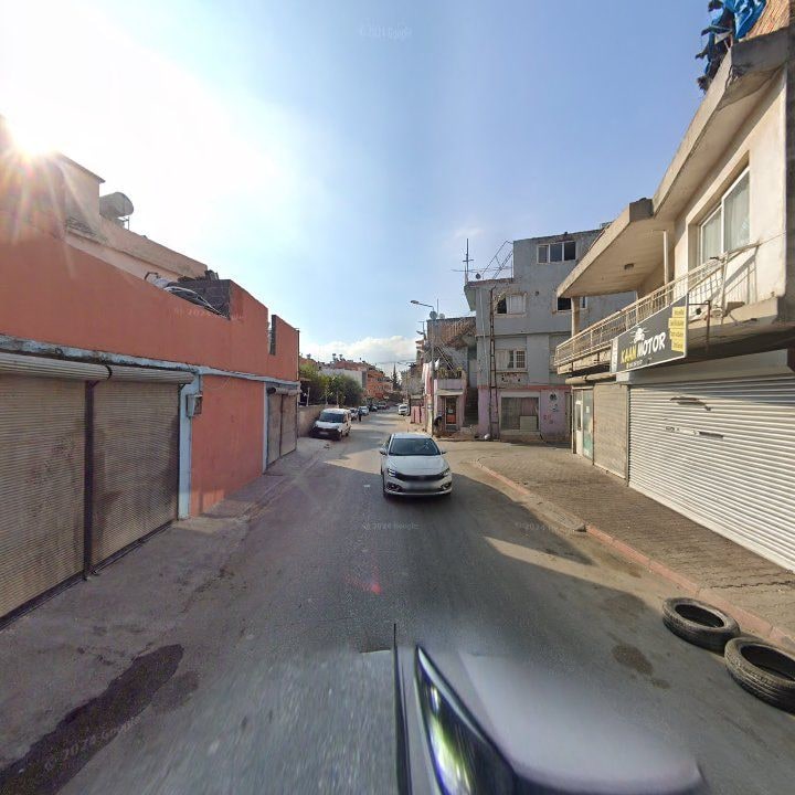 Fotoğraf 3