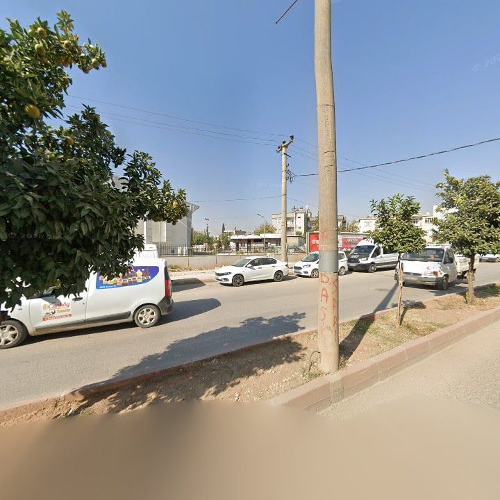 Fotoğraf 3
