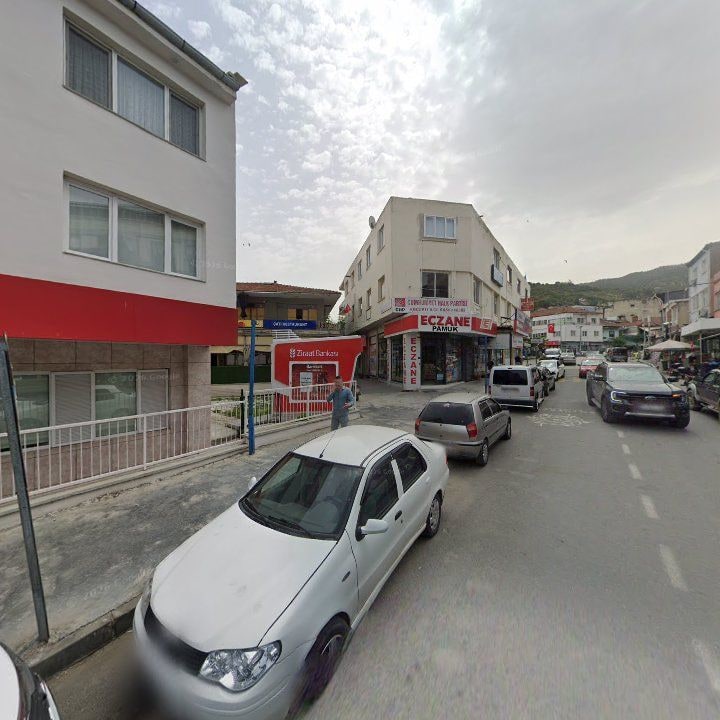 Fotoğraf 12