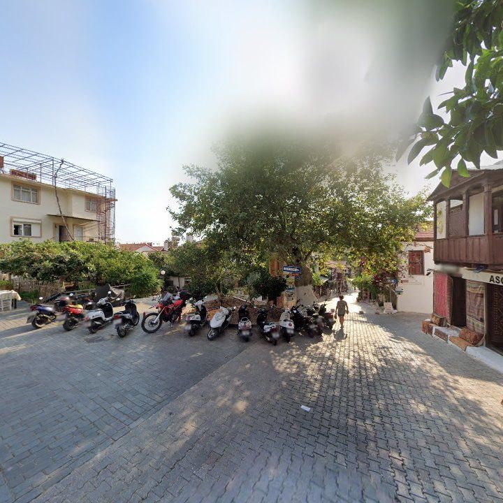 Fotoğraf 10