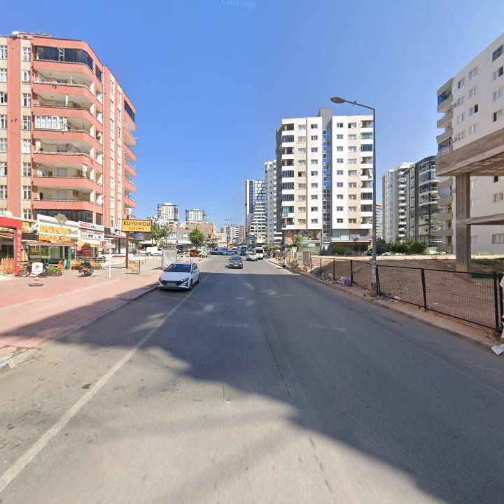 Fotoğraf 12