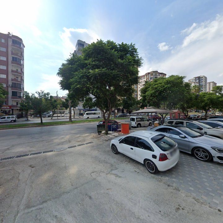 Fotoğraf 11