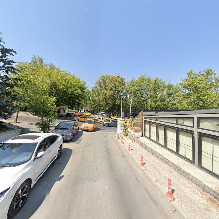 Fotoğraf 12