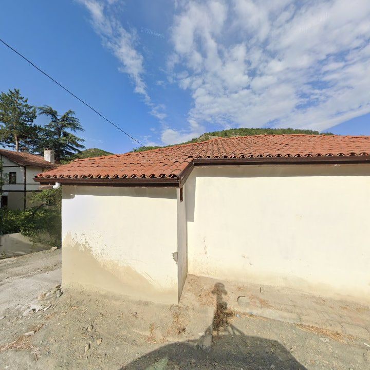 Fotoğraf 9