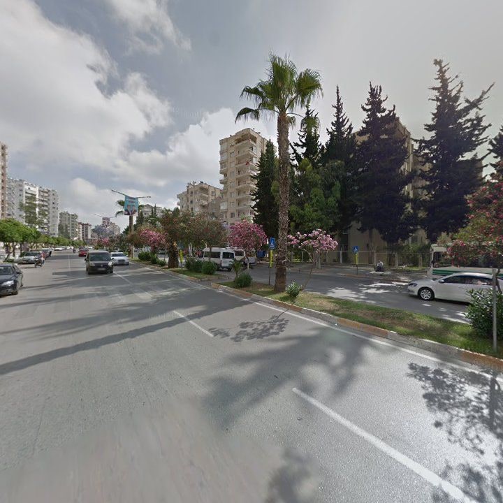Fotoğraf 7