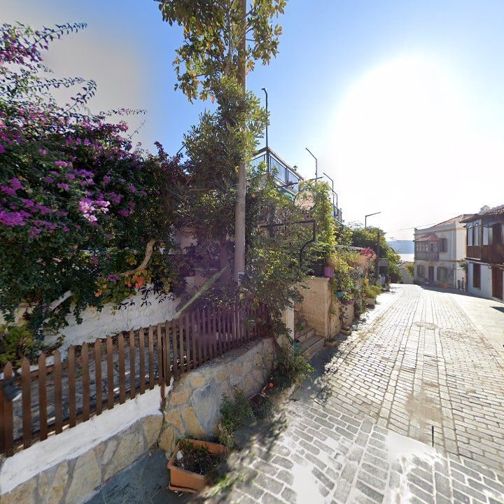 Fotoğraf 10
