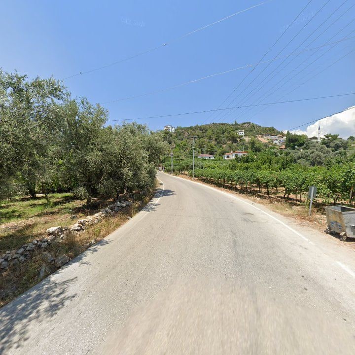 Fotoğraf 10