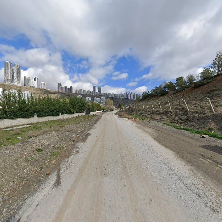 Fotoğraf 8