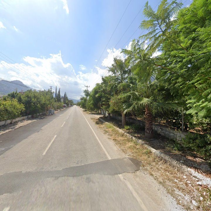 Fotoğraf 6