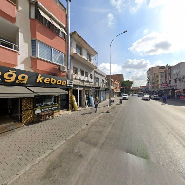 Fotoğraf 8