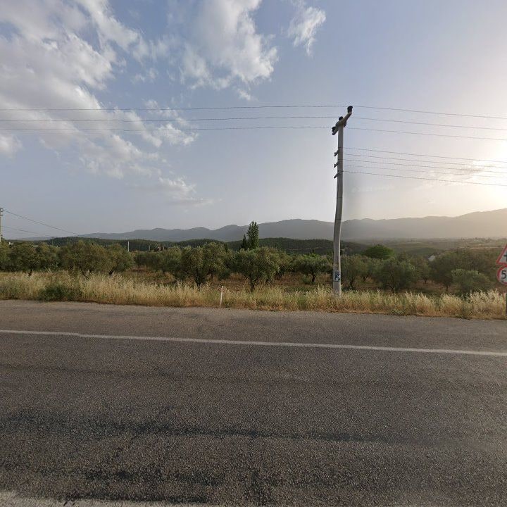Fotoğraf 10
