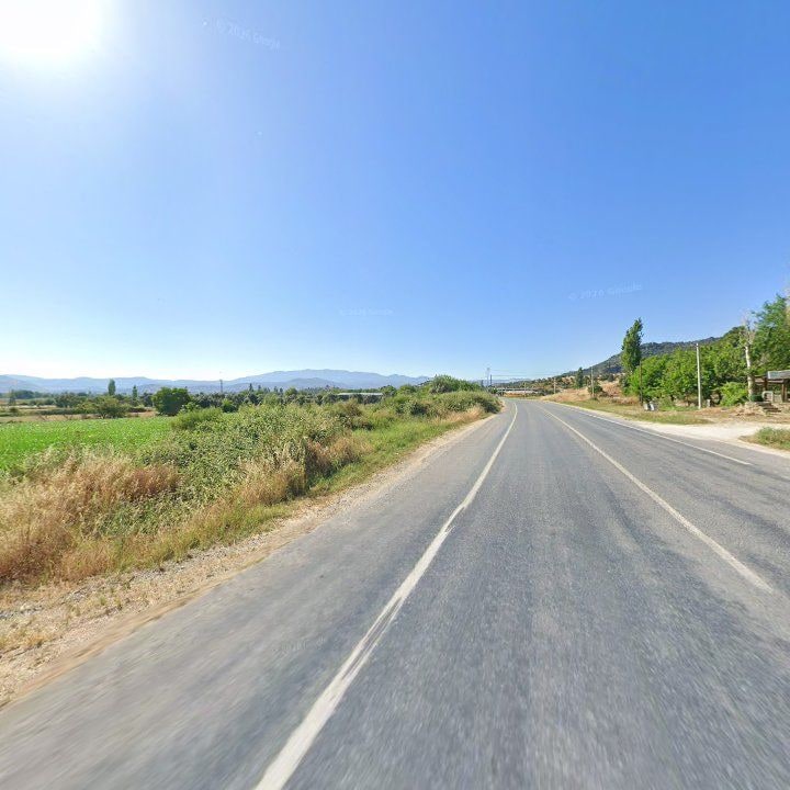 Fotoğraf 9