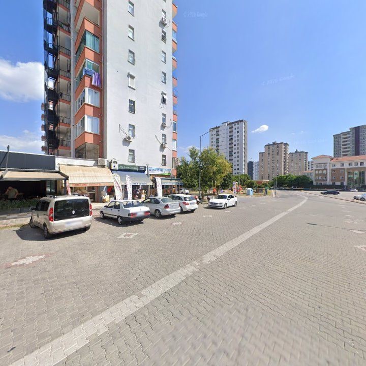 Fotoğraf 8