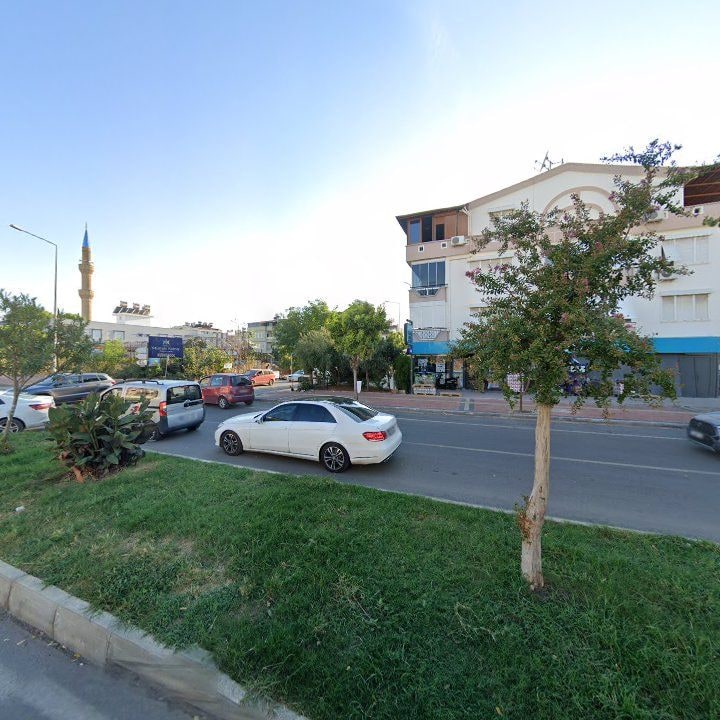 Fotoğraf 7