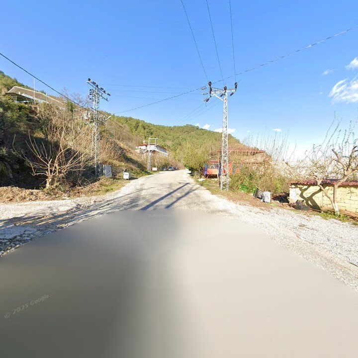 Fotoğraf 10