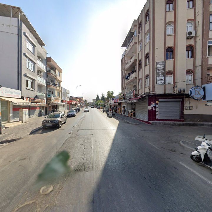 Fotoğraf 11