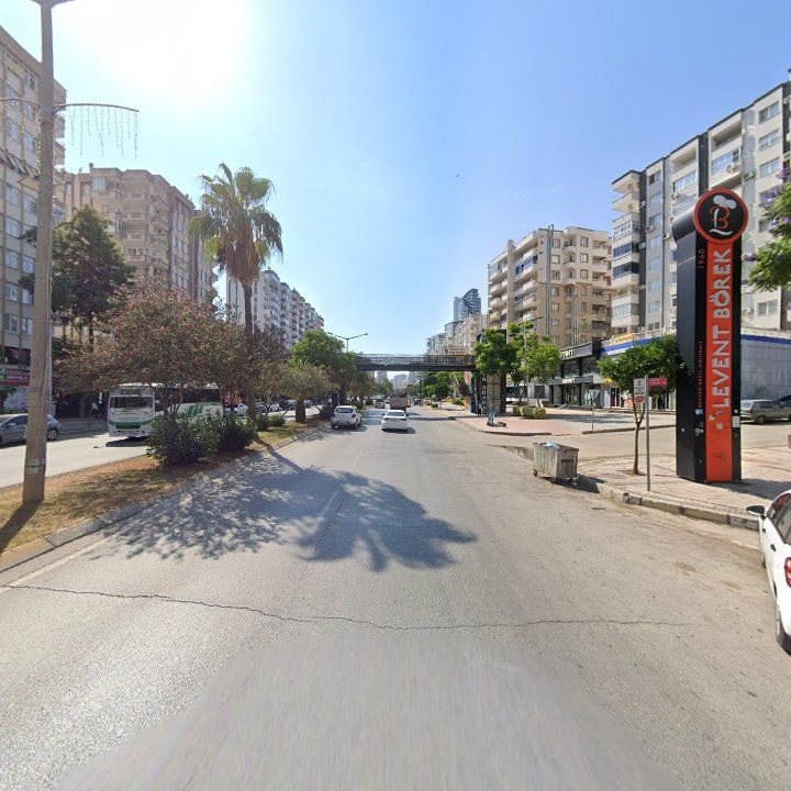 Fotoğraf 12