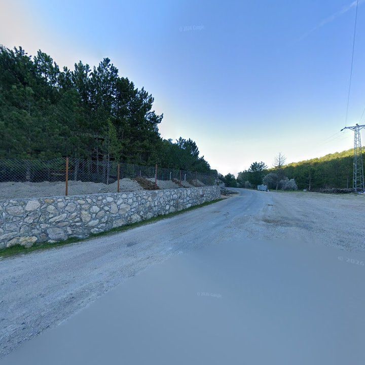 Fotoğraf 12