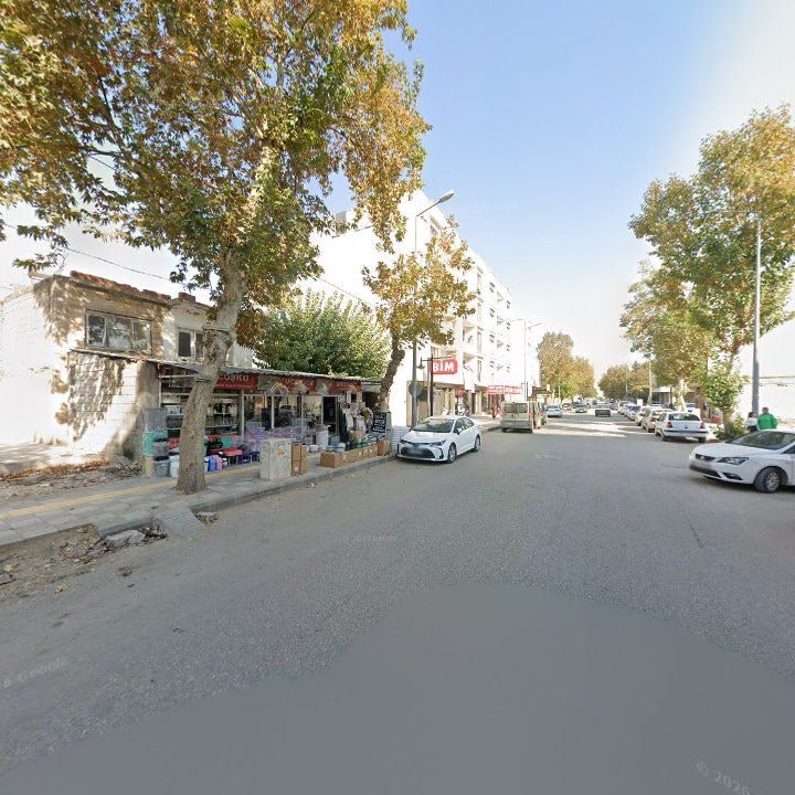 Fotoğraf 3