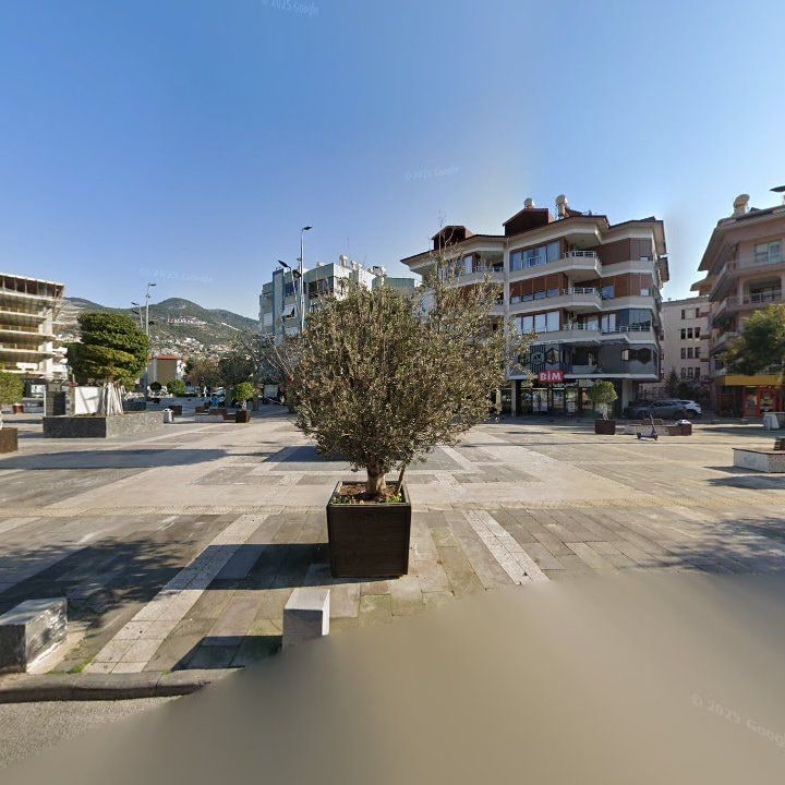 Fotoğraf 8