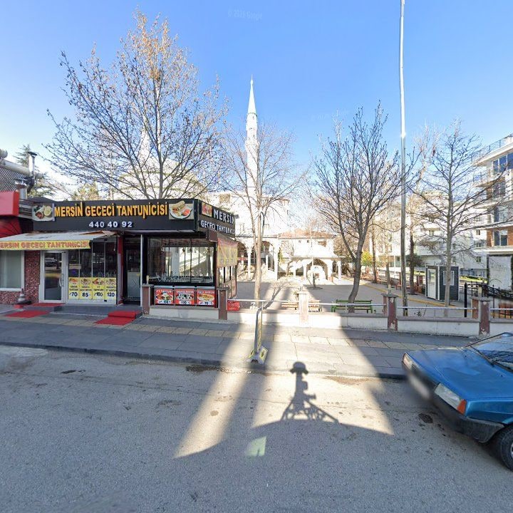 Fotoğraf 10