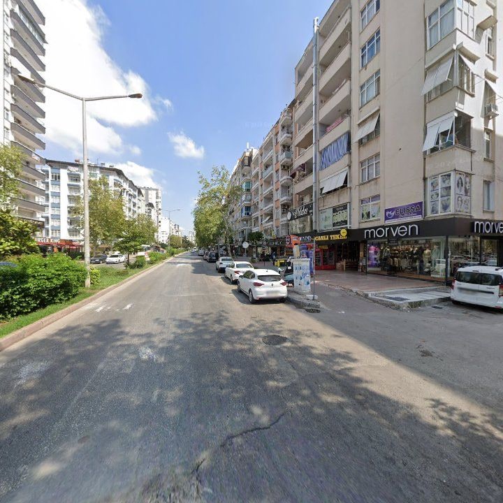 Fotoğraf 7