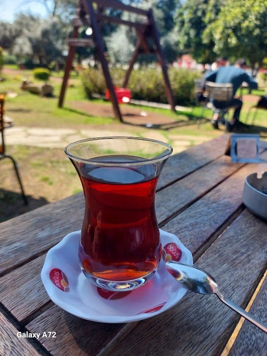 Fotoğraf 10