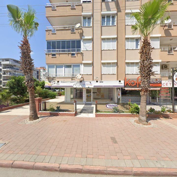 Fotoğraf 8