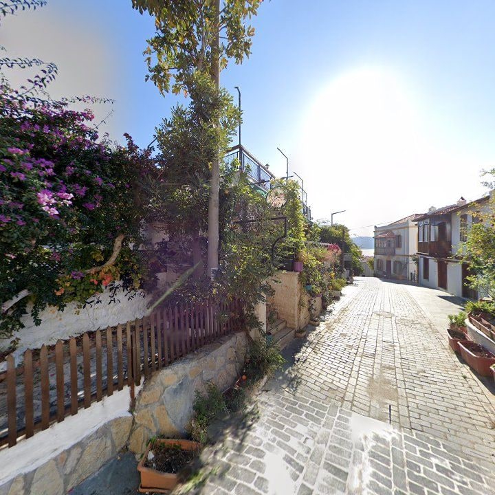 Fotoğraf 11