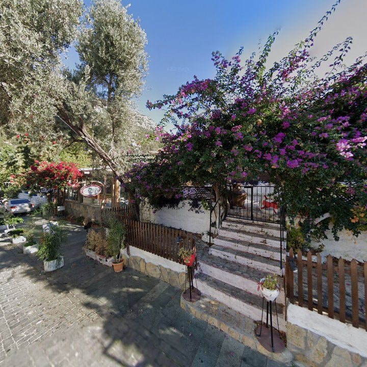 Fotoğraf 10