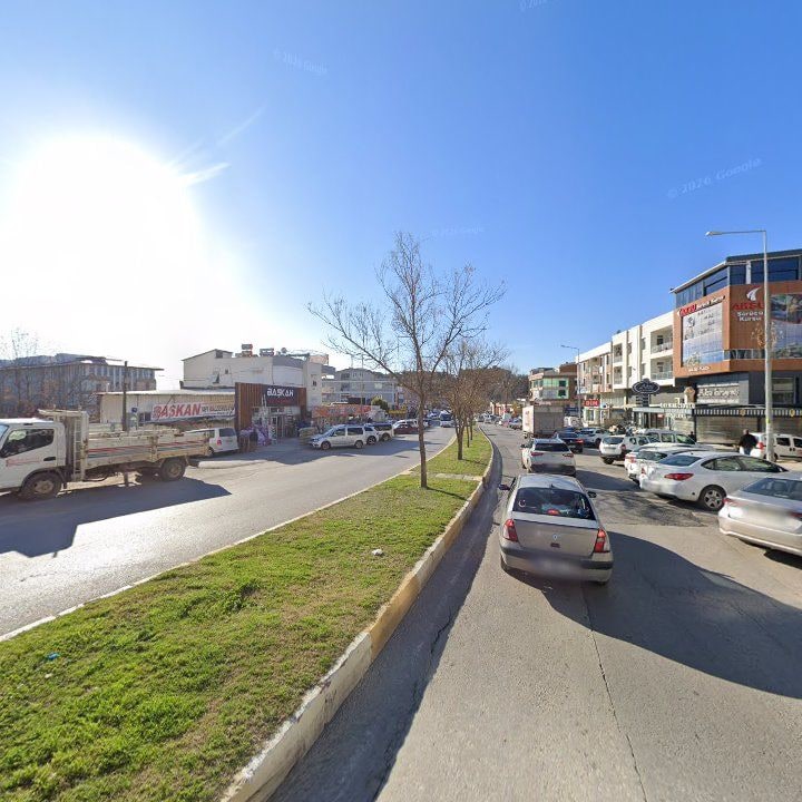Fotoğraf 7