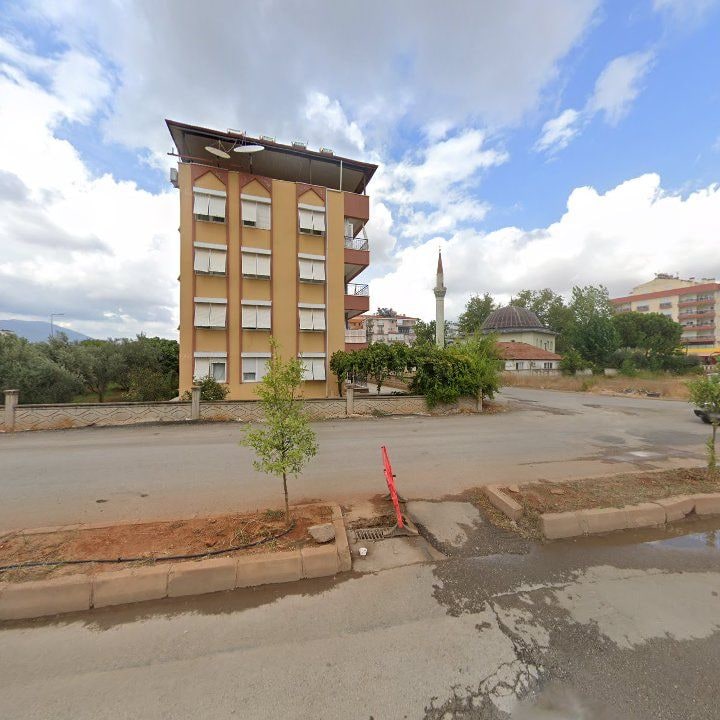 Fotoğraf 7