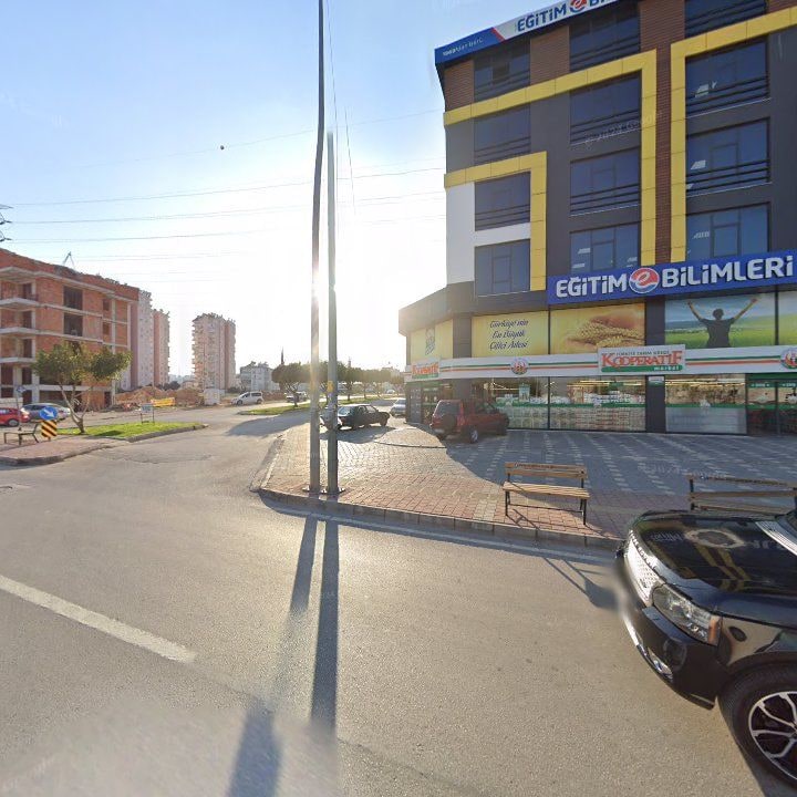 Fotoğraf 8