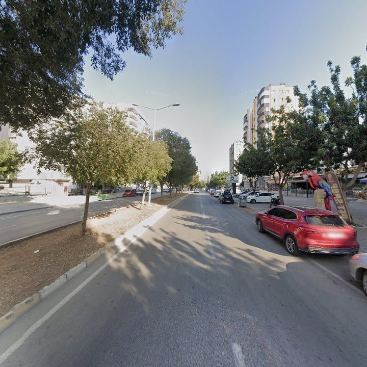Fotoğraf 12